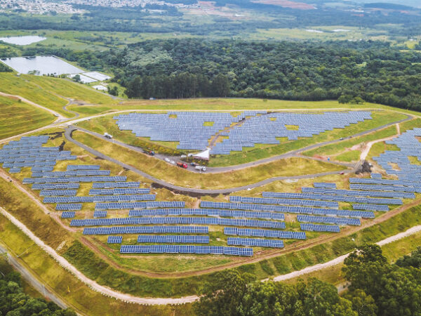 Combate às mudanças climáticas em Curitiba