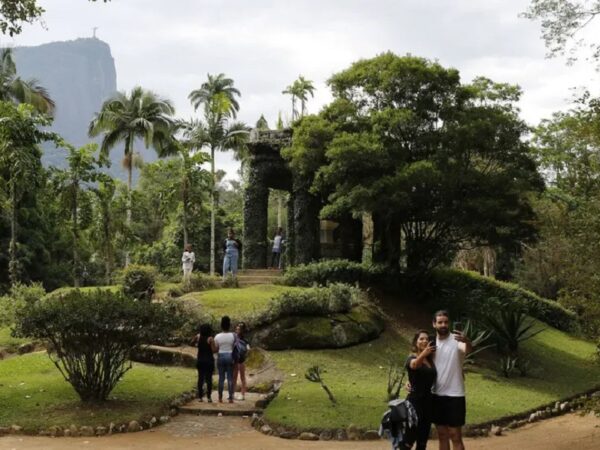 Frutas recém-descobertas são cultivadas no Jardim Botânico