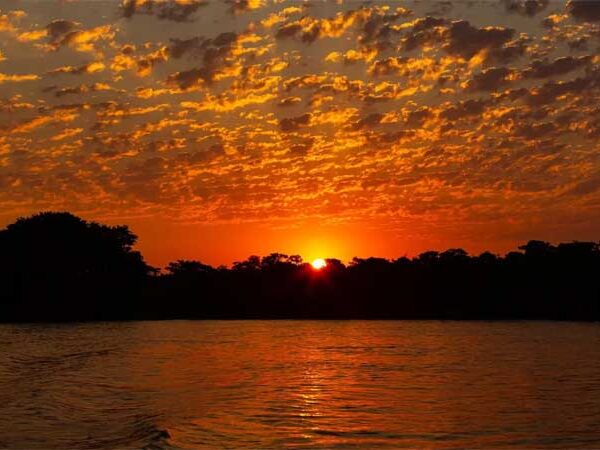 Cidade de Mato Grosso aprova projeto que reconhece direitos da natureza