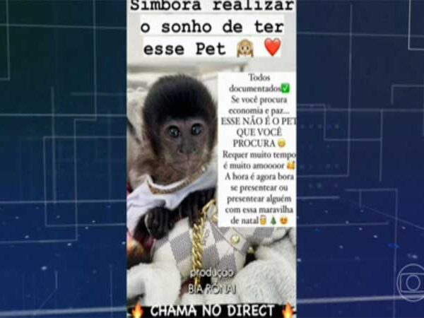 Exibição de animais silvestres nas redes sociais está na mira do Ibama