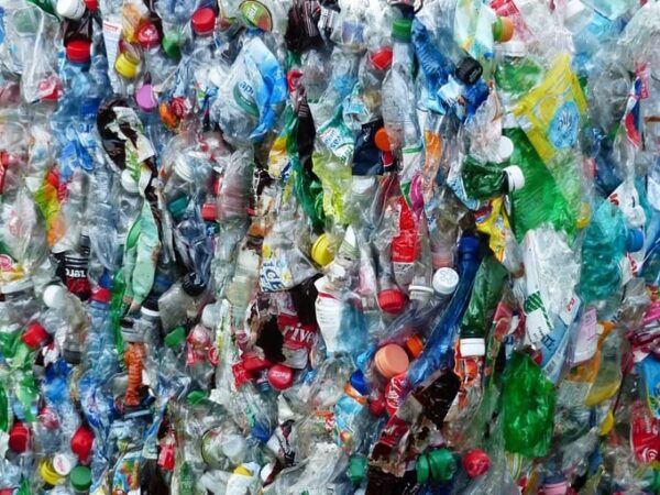 Reciclagem pode libertar grandes quantidades de microplásticos, segundo estudo