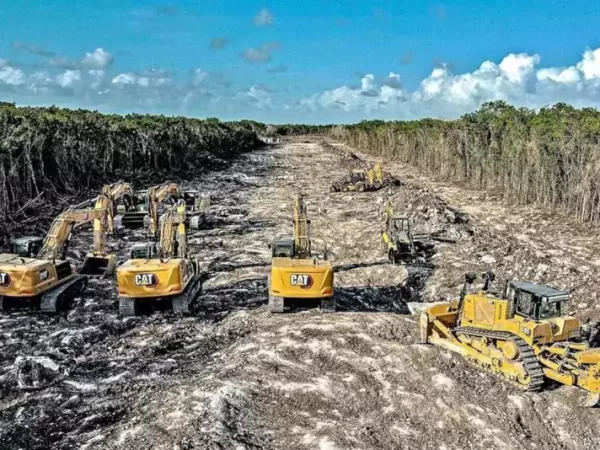 Trem Maia do México causará ecocídio e etnocídio segundo Tribunal Internacional