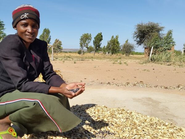 Agricultores tanzanianos melhoram dietas e saúde mental com métodos sustentáveis