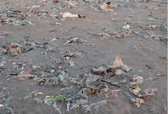 Economia do mar: 10% da poluição marinha provém de “marés negras”