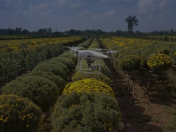 Agricultura de precisão: revolucionando as práticas agrícolas modernas