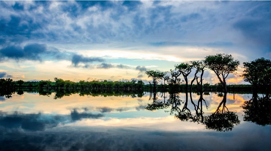 20 curiosidades sobre a Amazônia