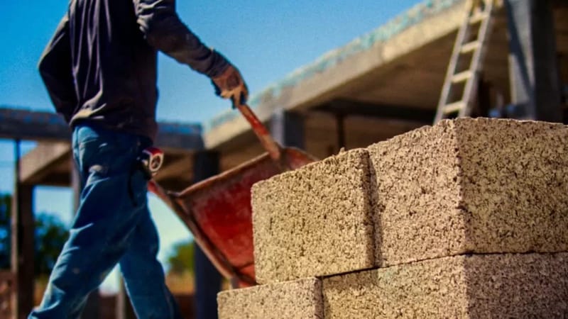 Cânhamor, a empresa portuguesa que produz tijolos de cânhamo