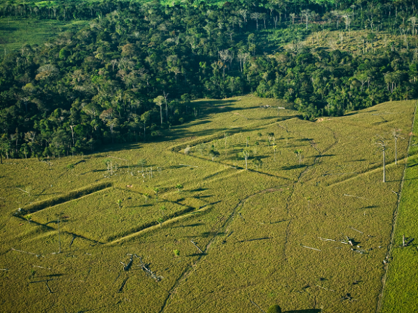 Amazônia pode abrigar mais de 10 mil registros de obras pré-colombianas, mostra estudo