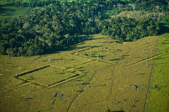 Amazônia pode abrigar mais de 10 mil registros de obras pré-colombianas, mostra estudo
