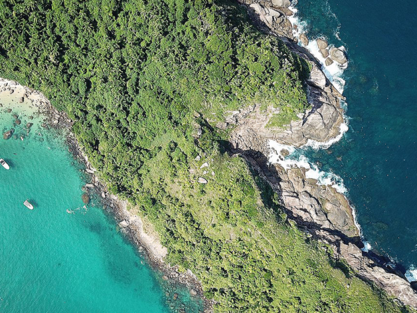 Novo habitat marinho é descoberto em Ubatuba