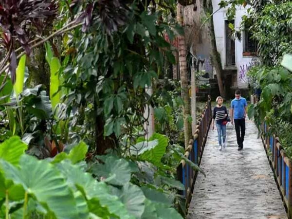 Os ‘corredores verdes’ de Medellín para combater calor extremo