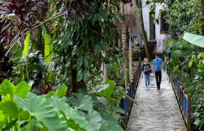 Os ‘corredores verdes’ de Medellín para combater calor extremo