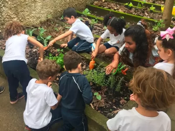 Conheça a rotina da 1ª escola lixo zero de SP, que é finalista de prêmio internacional