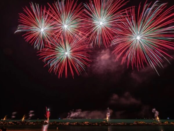 Pânico no ar: fogos de artifício do réveillon afetam milhões de aves