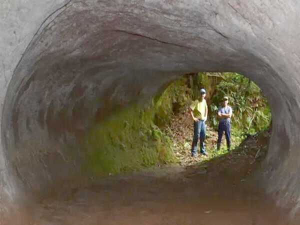 Os misteriosos túneis cavados por preguiças-gigantes no Brasil