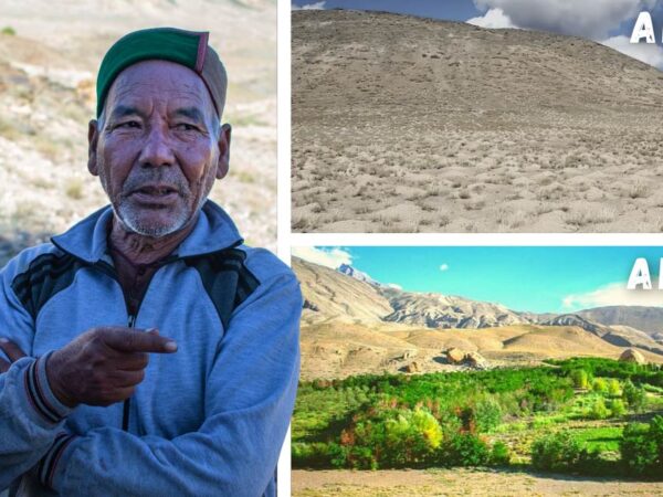 Senhor transforma deserto em oásis de vida ao plantar mais de 30 mil árvores