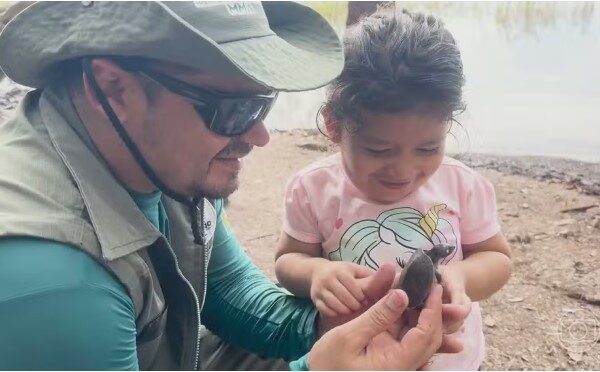 Seis espécies de tartarugas que vivem na Amazônia estão ameaçadas de extinção pela caça predatória