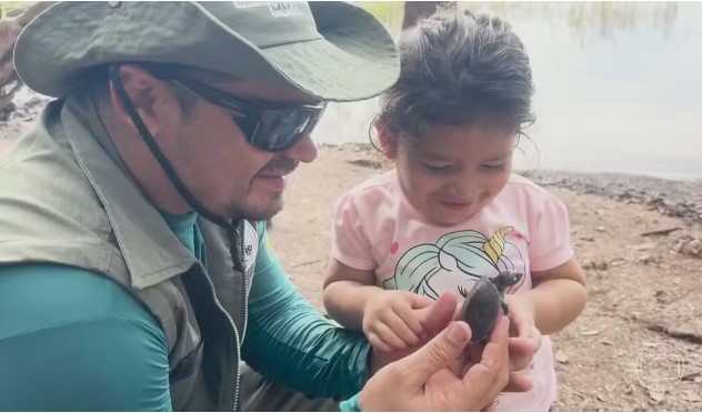 Seis espécies de tartarugas que vivem na Amazônia estão ameaçadas de extinção pela caça predatória