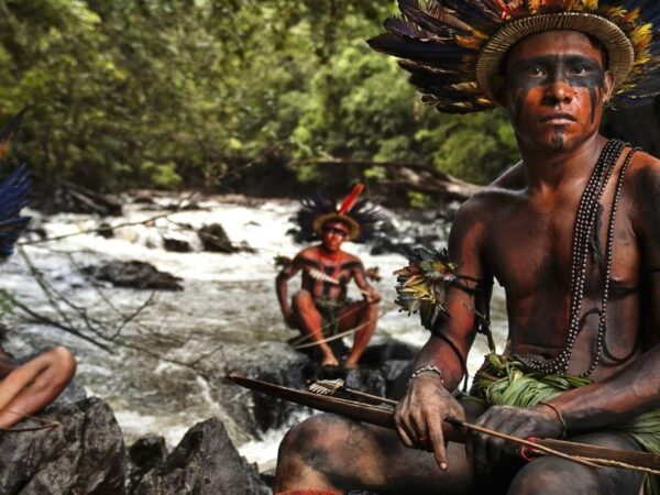 Nativos ‘usaram sem danificar’ florestas amazônicas por 5.000 anos, segundo estudo