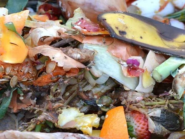 França implementa ‘compostagem obrigatória’ em todo o país