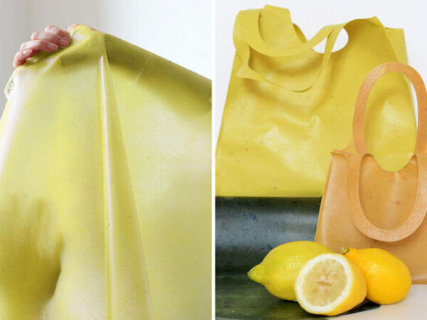 Jovens criam sacolas feitas com cascas de frutas para deixar de lado as de plástico