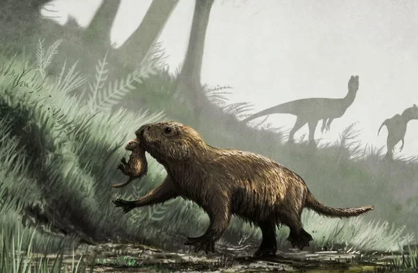 Quando os dinossauros foram extintos, muitos animais literalmente saíram do escuro