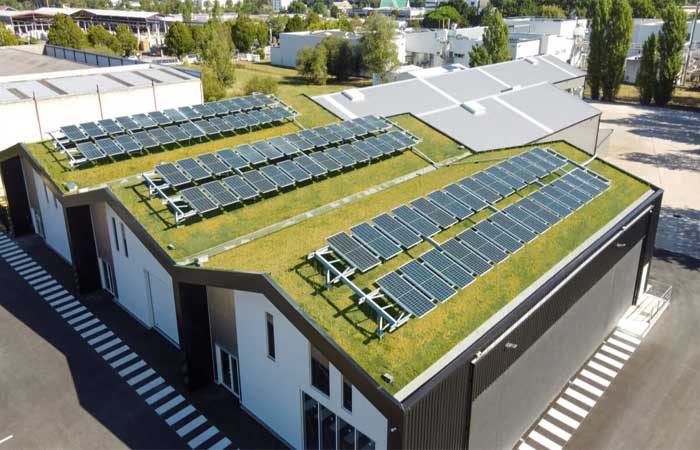 Telhado “biosolar” combina vegetação com geração de energia