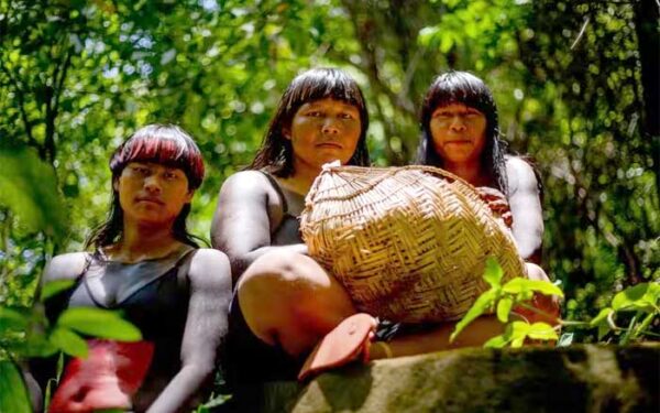 Rede Sementes do Xingu mostra valor da produção comunitária e inspira novas conexões