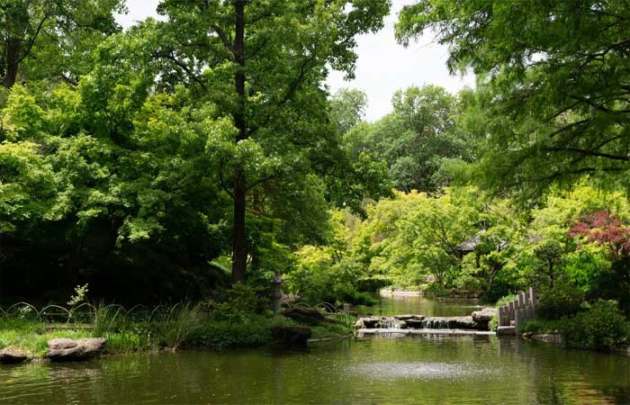 Um jardim botânico pode resfriar a temperatura do centro de uma cidade em até 5°C