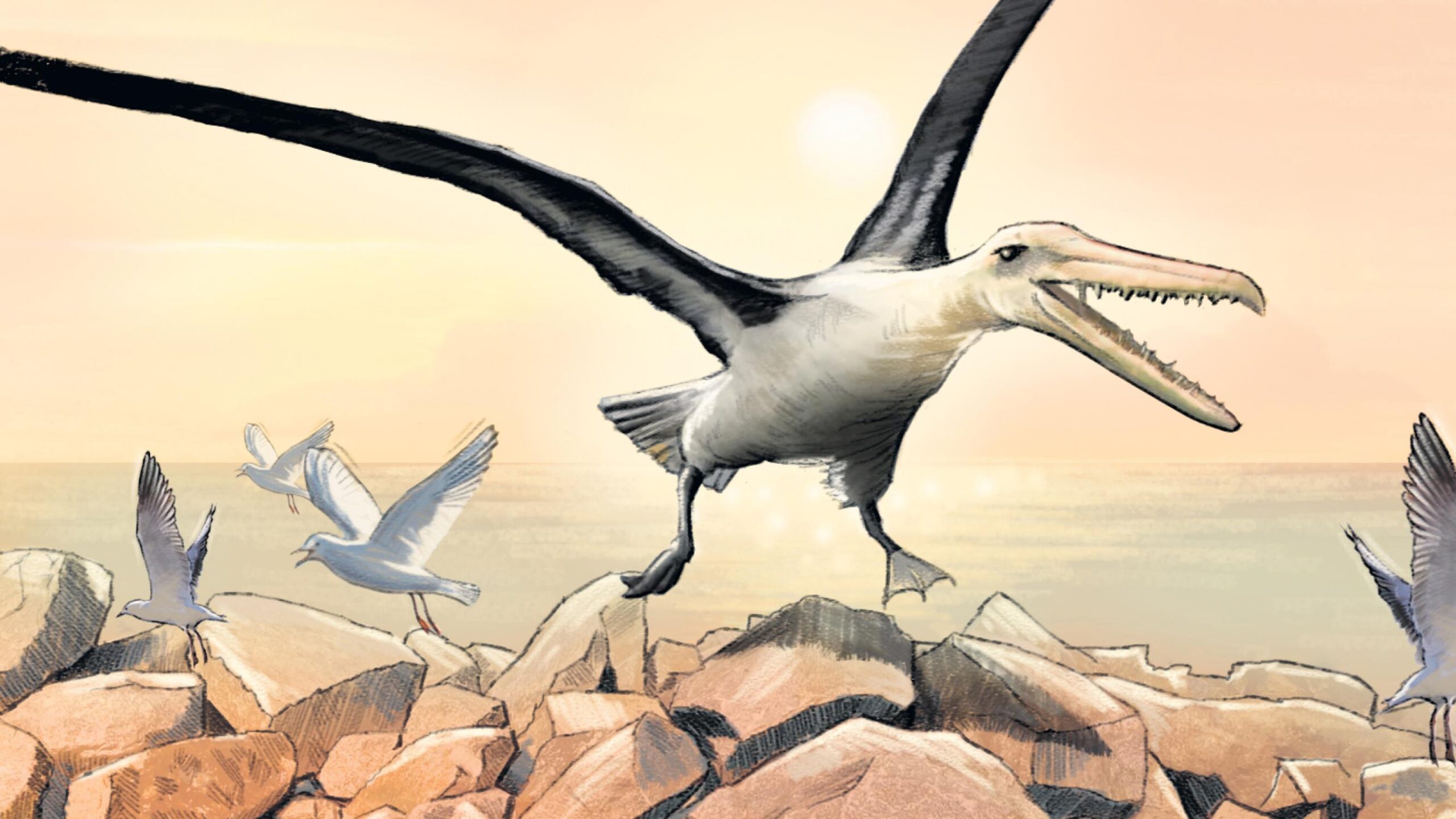 Gigantes e com dentes. Estas aves habitavam a Antártida há 40 milhões de anos