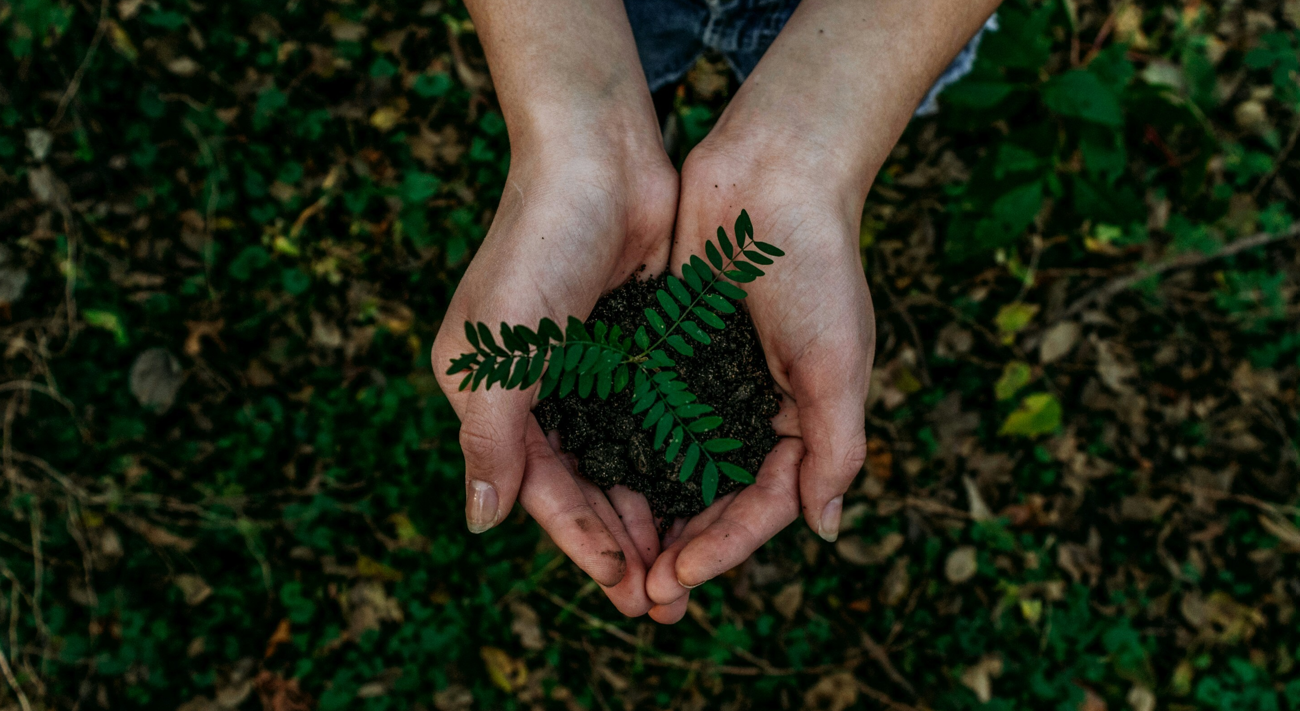 Do desperdício à bioenergia: 4 formas de contribuir para a gestão eficaz de resíduos