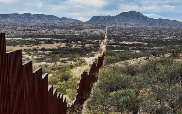 Botânicos estão vasculhando a fronteira EUA-México para documentar um ecossistema esquecido dividido por um muro gigante