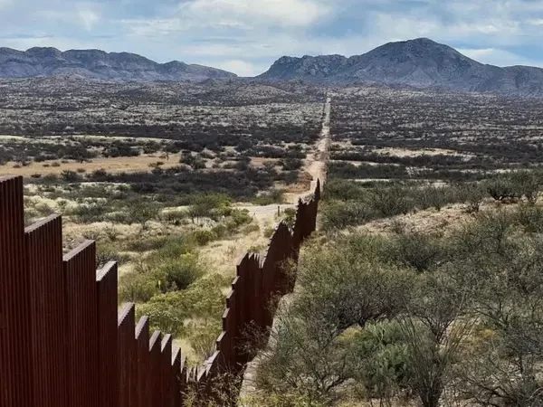 Botânicos estão vasculhando a fronteira EUA-México para documentar um ecossistema esquecido dividido por um muro gigante