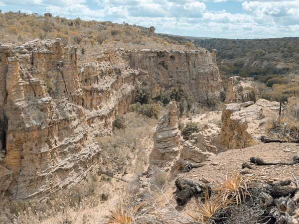 Aquecimento global faz surgir primeira zona árida e expande clima semiárido e áreas secas no Brasil