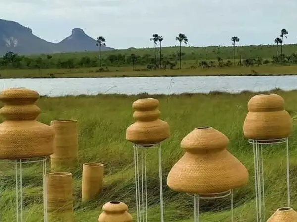 Produtos da biodiversidade transformam vidas no Cerrado