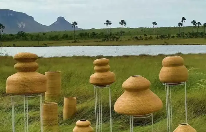 Produtos da biodiversidade transformam vidas no Cerrado