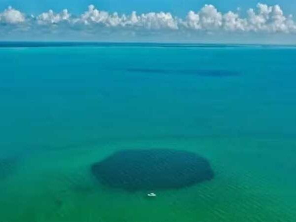 Buraco azul mais profundo do mundo é identificado em baía no México