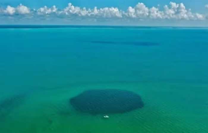 Buraco azul mais profundo do mundo é identificado em baía no México