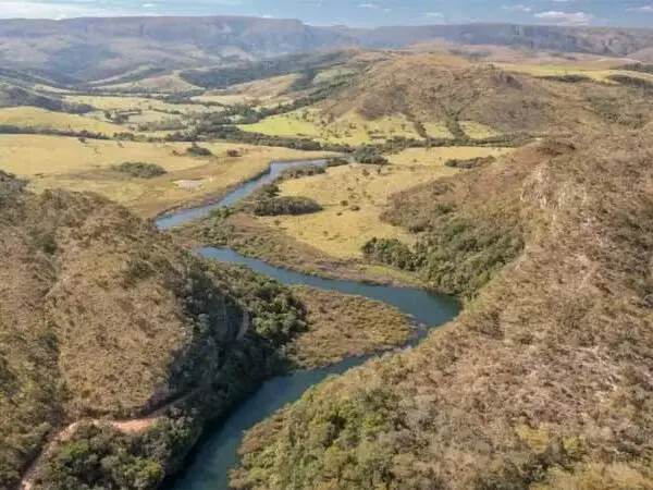 Cientista explica por que é preciso frear desmatamento no Cerrado para não faltar água no Brasil