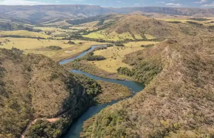 Cientista explica por que é preciso frear desmatamento no Cerrado para não faltar água no Brasil