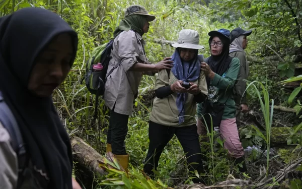 Na Indonésia, equipes de guardas florestais patrulham para retardar o desmatamento