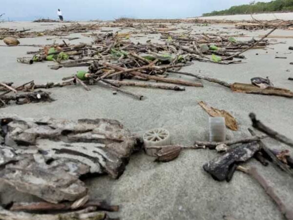 Peças plásticas de estações de tratamento de água chegam até praias do Paraná, mostra registro inédito