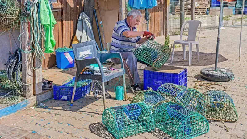 Os pescadores de polvos que estão ajudando a proteger o maior recife de corais de Portugal