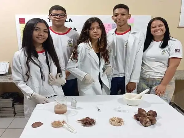 Estudantes do Maranhão desenvolvem bioplástico de babaçu