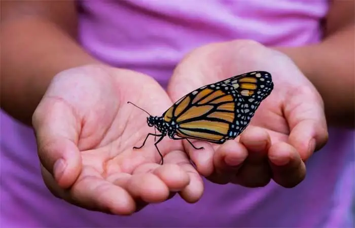 Oito maneiras simples de proteger a biodiversidade