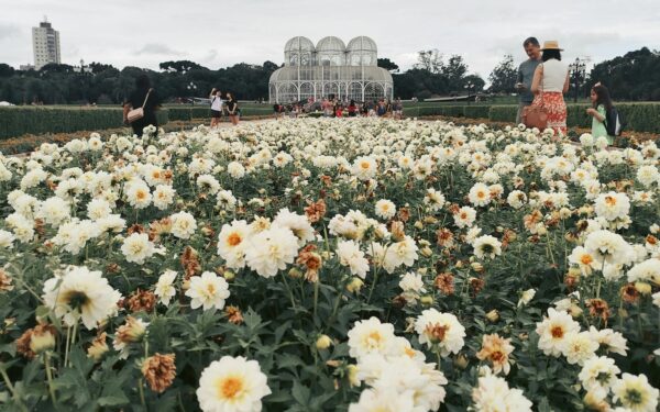 Chegada da primavera: 5 sinais da natureza mostram que a estação começou