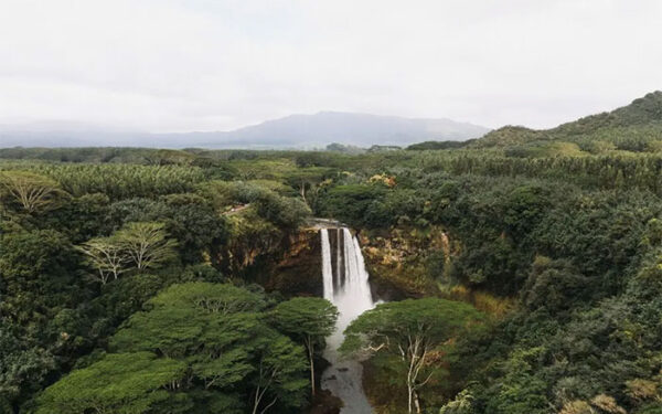 Quebra da circulação do Atlântico aumentaria risco de colapso da Amazônia, alerta estudo