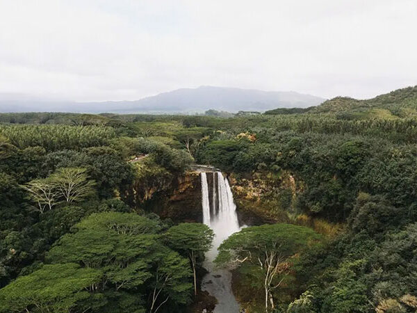 Quebra da circulação do Atlântico aumentaria risco de colapso da Amazônia, alerta estudo