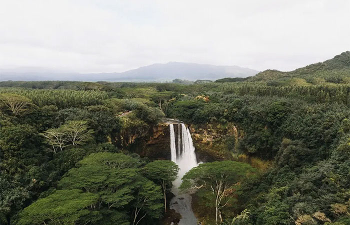 Quebra da circulação do Atlântico aumentaria risco de colapso da Amazônia, alerta estudo