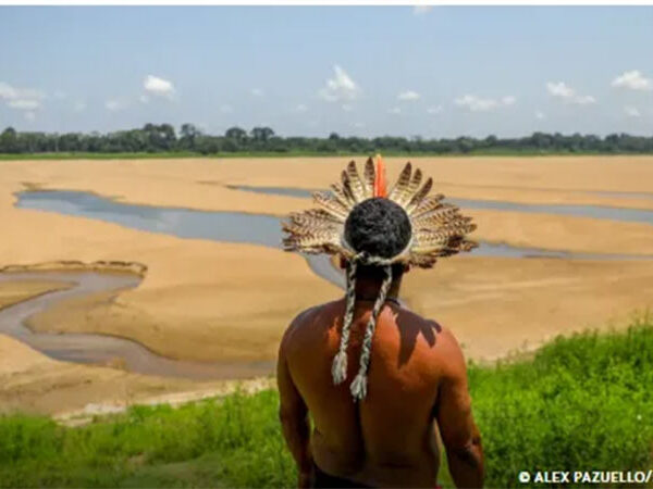 Estudo aponta contaminação por mercúrio em bacias da Amazônia